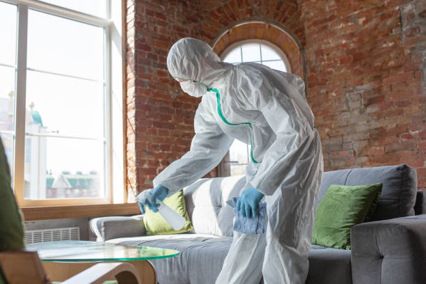 Best Industrial Mold Remediation  in Dayton, TX