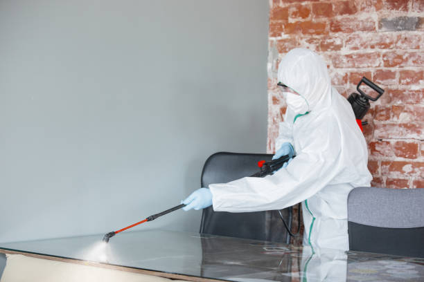 Mold Documentation for Insurance Claims in Dayton, TX