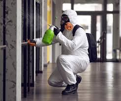 Professional Mold Inspection in Dayton, TX